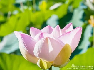 之所以从这四个方面进行全方位的设计是因为......《华为灰度管理法》摘录